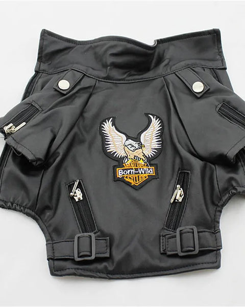 EagleStride Jacket
