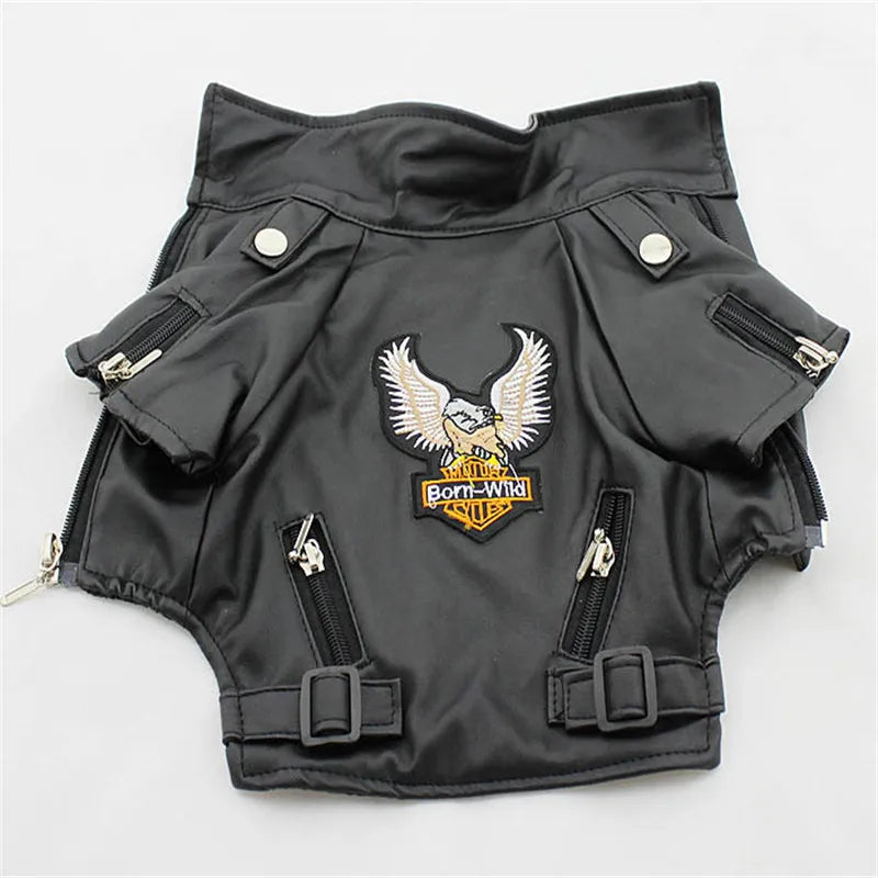 EagleStride Jacket