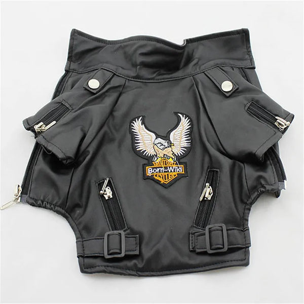 EagleStride Jacket
