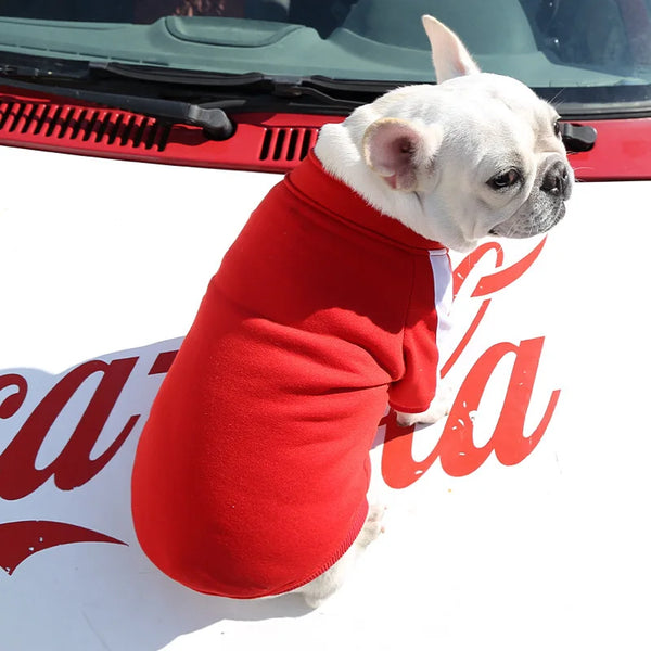 WinterPaws Baseball Jacket