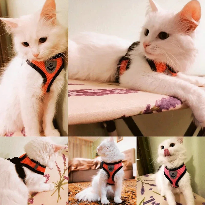 Veltra – Adjustable Pet Harness with Leash