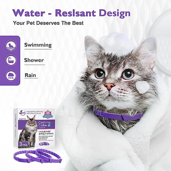 LumeCalm Collar