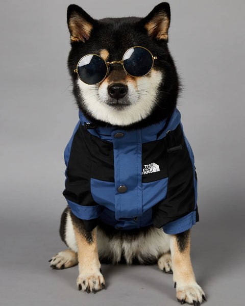 Lunavo Premium Dog Jacket