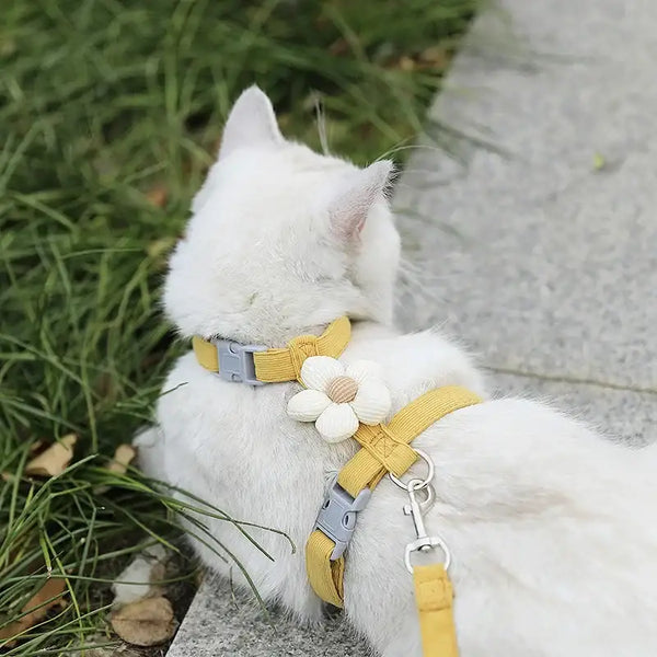 WhiskerStride