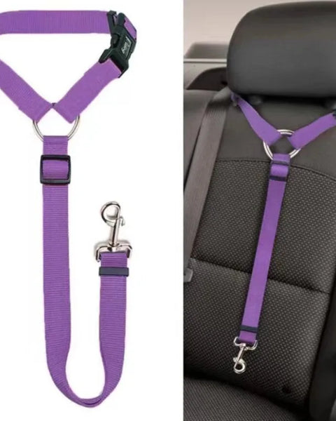 SafeRide Dog Belt