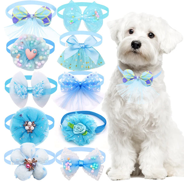 LaceCharm Bow Collar Set