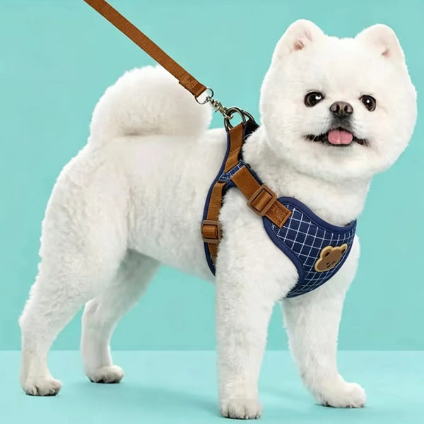 Cute Dog Harness and Leash Set