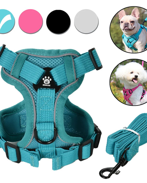 Dog Harness and Leash Set