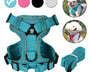 Dog Harness and Leash Set