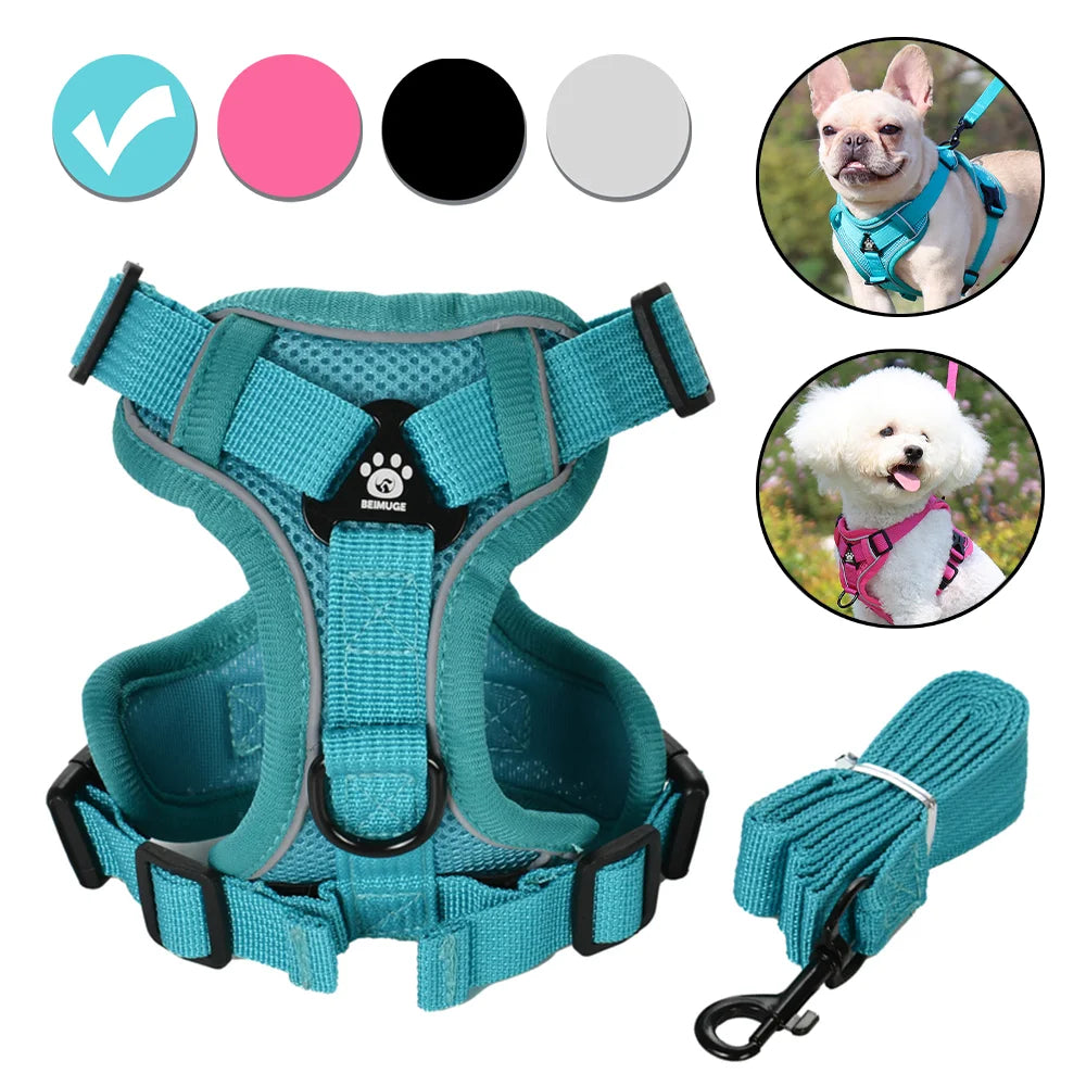 Dog Harness and Leash Set