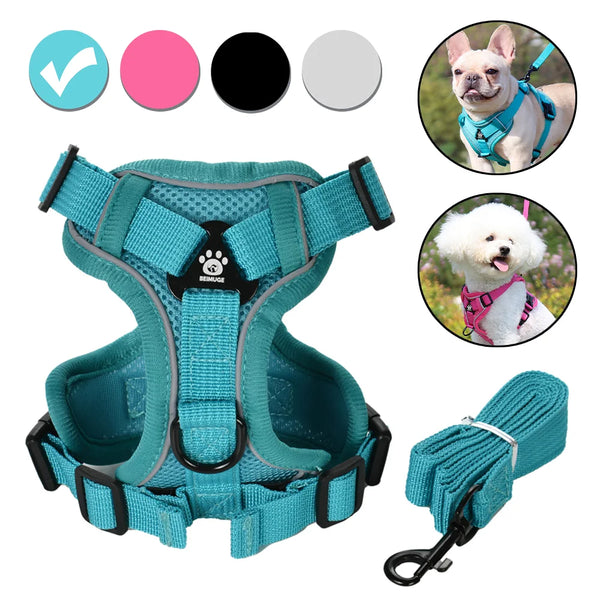 Dog Harness and Leash Set