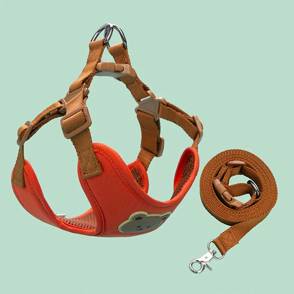 Cute Dog Harness and Leash Set