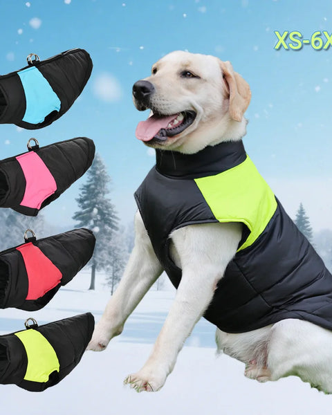 Windproof and waterproof winter dog jacket made from insulated polyester and cotton with leash D-ring and zipper closure, designed to keep dogs warm, dry, and comfortable in cold weather