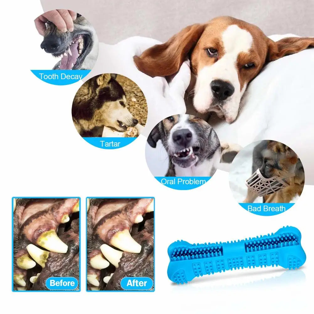 Denticlean – Healthy teeth, playful fun!