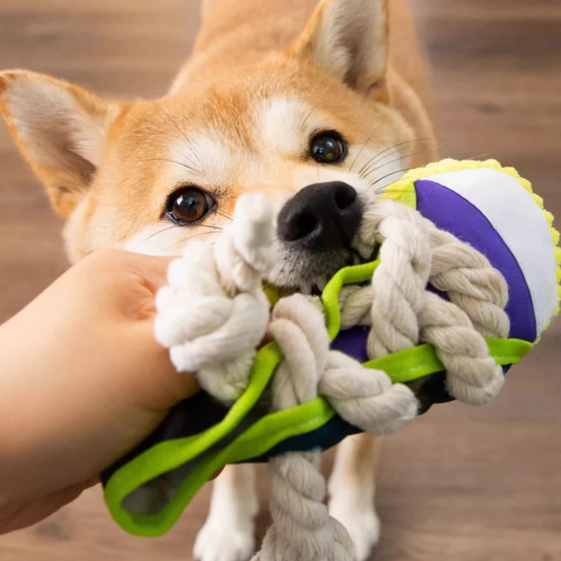 Squeaky Dog Toy Pro