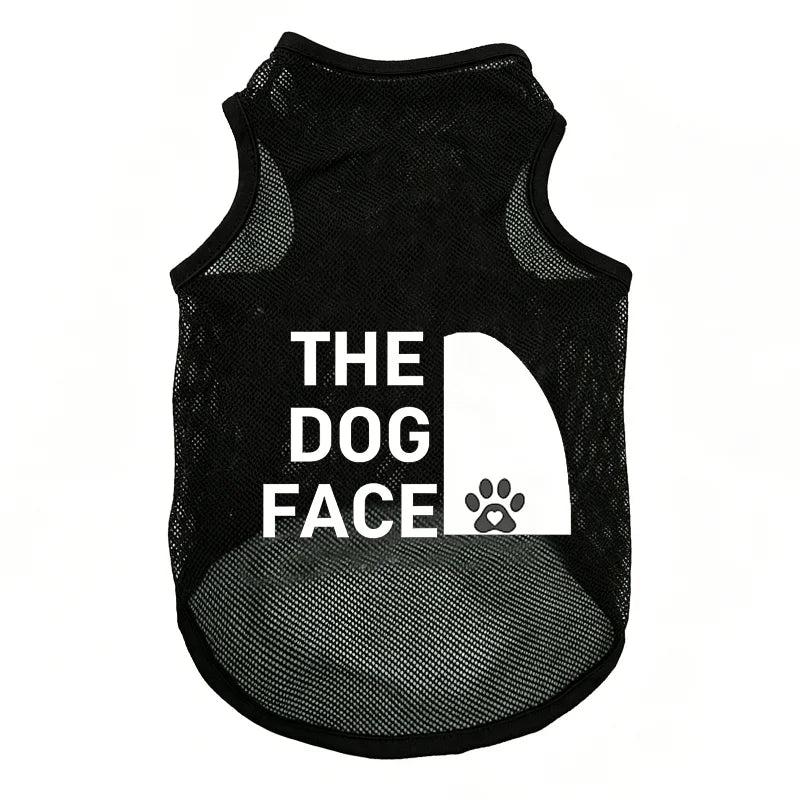 AeroPaw – Dogs & Cats