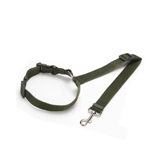 SafeRide Dog Belt