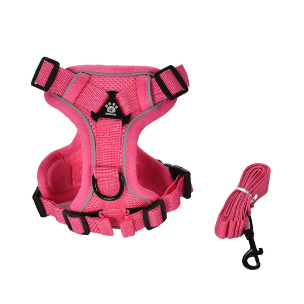 Dog Harness and Leash Set