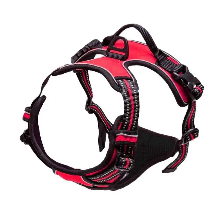 SafeTrail Harness