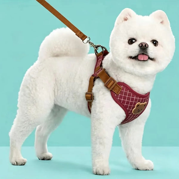 Cute Dog Harness and Leash Set