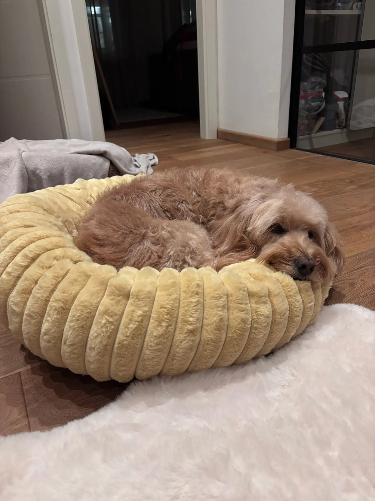 DreamPuff Bed