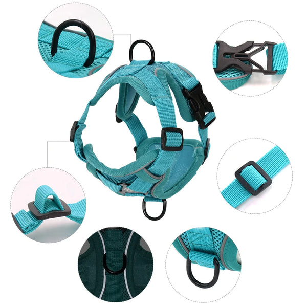 Dog Harness and Leash Set