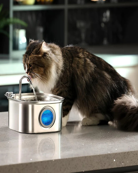 3.2L automatic stainless steel pet water fountain for cats and dogs with circulating filtered water to keep hydration clean and fresh