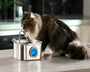 3.2L automatic stainless steel pet water fountain for cats and dogs with circulating filtered water to keep hydration clean and fresh