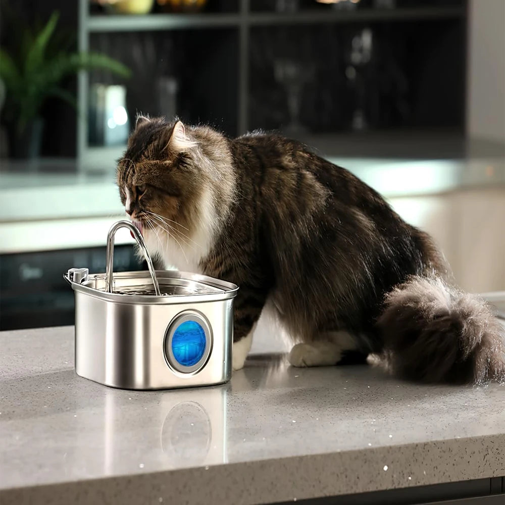 3.2L automatic stainless steel pet water fountain for cats and dogs with circulating filtered water to keep hydration clean and fresh