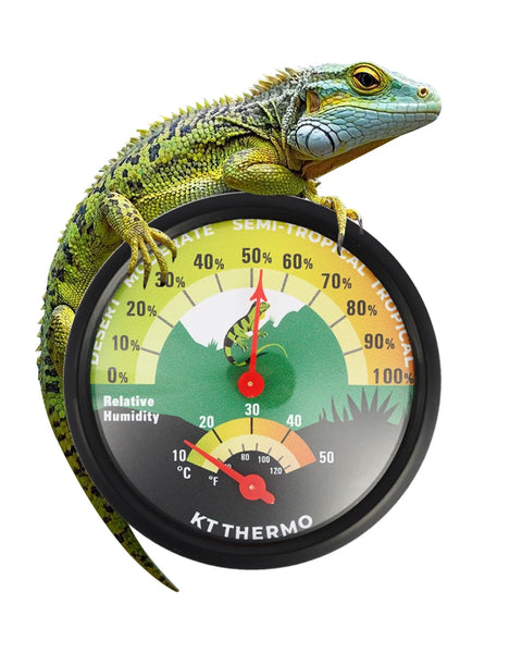 ClimaRept Thermometer & Hygrometer with Suction