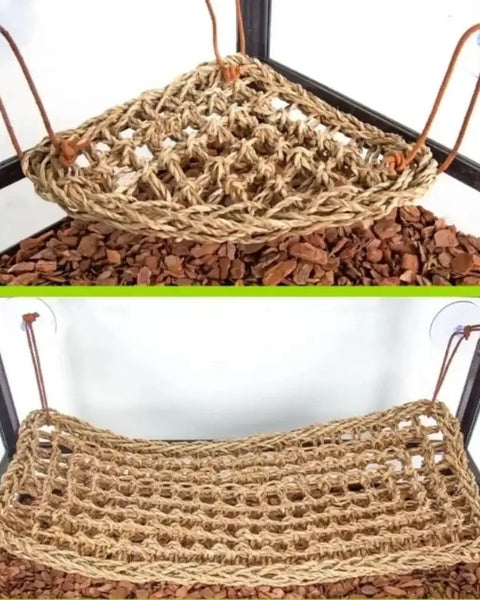 SeaBreeze Hammock