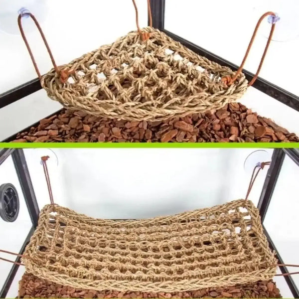 SeaBreeze Hammock