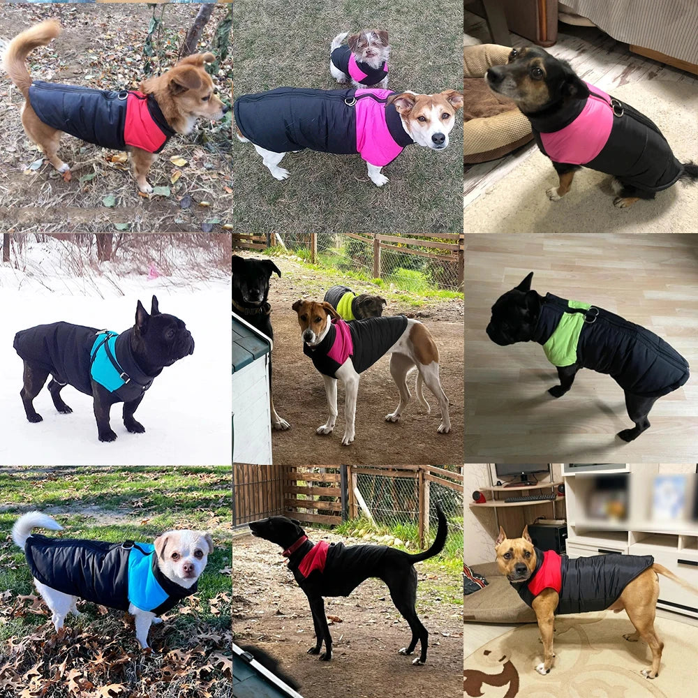 Thermova Dog Winter