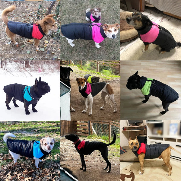 Thermova Dog Winter