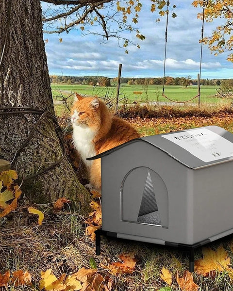 Foldable outdoor pet house for cats and small dogs that provides weather protection, insulation, and a secure resting shelter.