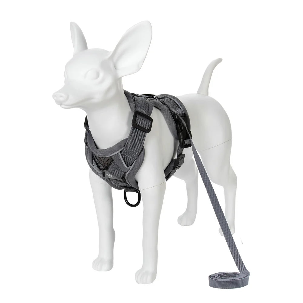 Dog Harness and Leash Set