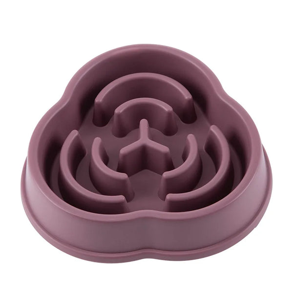 NutriMaze Bowl