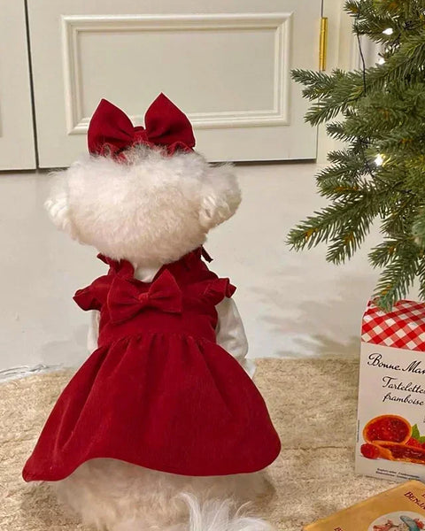 Winter Princess Dog Dress
