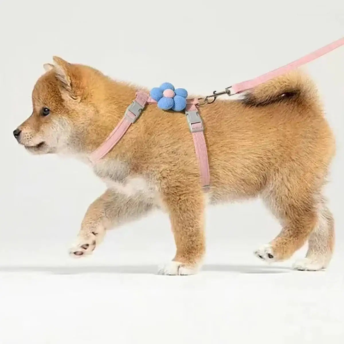 WhiskerStride