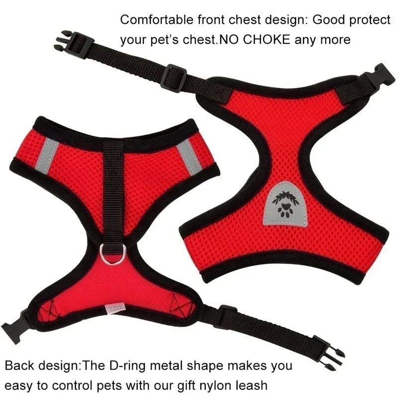 Veltra – Adjustable Pet Harness with Leash