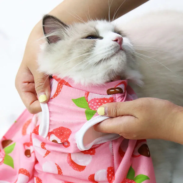 PetRecovery Anti-Licking Suit