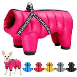 Waterproof winter dog jacket with integrated harness for small and medium dogs that provides warmth, wind protection, and secure leash control.