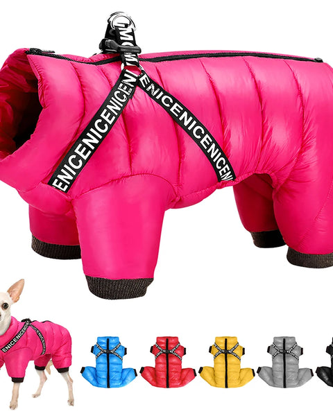 Waterproof winter dog jacket with integrated harness for small and medium dogs that provides warmth, wind protection, and secure leash control.