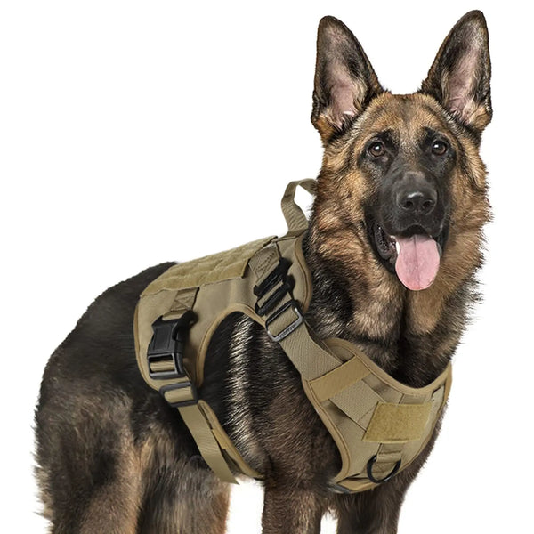 Vornex – Adjustable Harness Premium