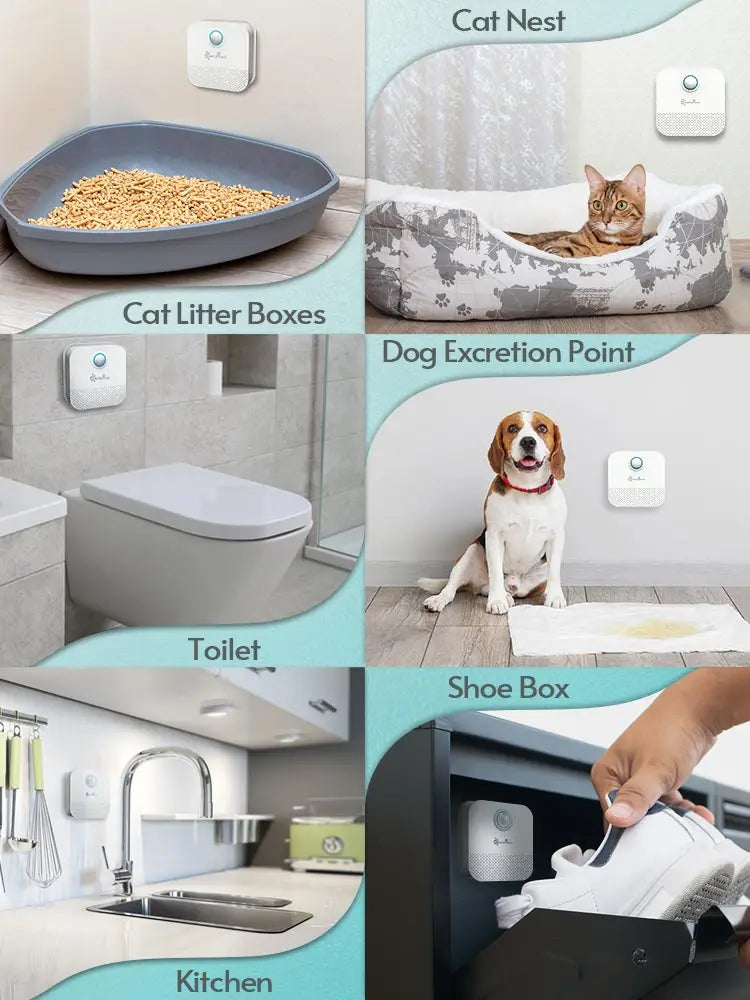 Odor Purifier