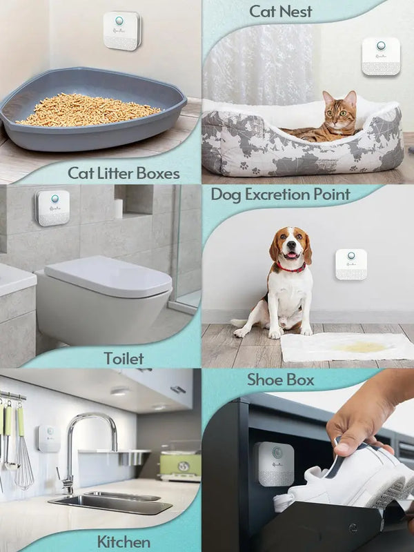 Odor Purifier