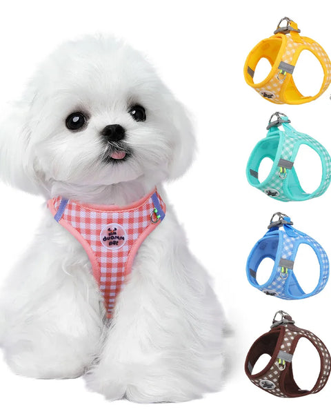 Dog Harness and Leash Set