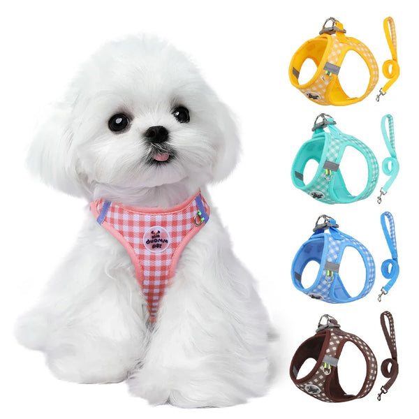 Dog Harness and Leash Set