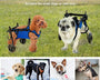Mobility support cart for dogs and cats made from lightweight aluminum alloy to assist movement during recovery, rehabilitation, or hind limb weakness