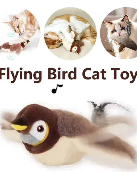 Fluffwing Cat